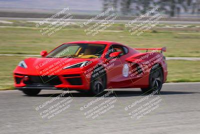 media/Mar-29-2025-Speed Ventures (Sat) [[9900210f0d]]/Purple/Grid and Front Straight/